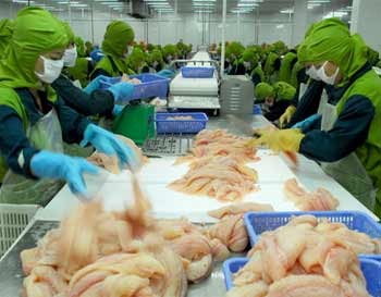 Basa fish is processed for export at Cafatex Corp., a seafood processor and exporter in Hau Giang Province. With an aim to achieve higher GDP growth this year, the Government has outlined eight sets of objectives, including constraining trade deficit. (Photo: Tuoi Tre)