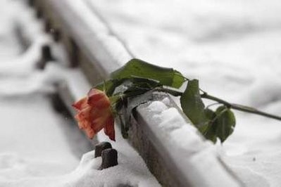 A rose lies on a railway track in Auschwitz Birkenau camp January 19, 2010. (AFP Photo)