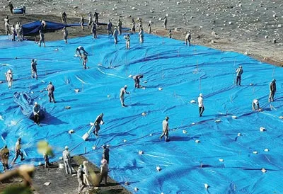 Việc Hyundai Vinashin nhập hạt nix: Sức khỏe người dân đang bị đe dọa