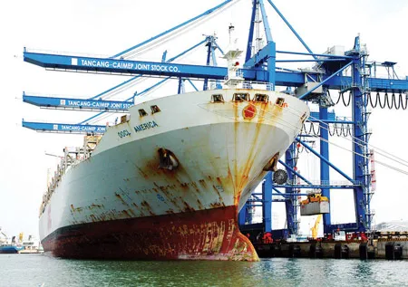 Khai trương tuyến vận tải hàng trực tiếp từ Việt Nam tới bờ Đông nước Mỹ