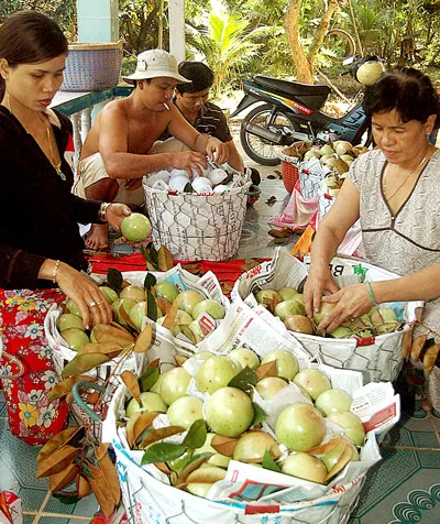 Nghịch lý vú sữa Lò Rèn