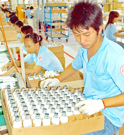Xuất khẩu 100.000 bóng đèn compact điều chỉnh độ sáng qua Hà Lan