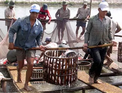 Sẽ có “đặc nhiệm” chống gian lận