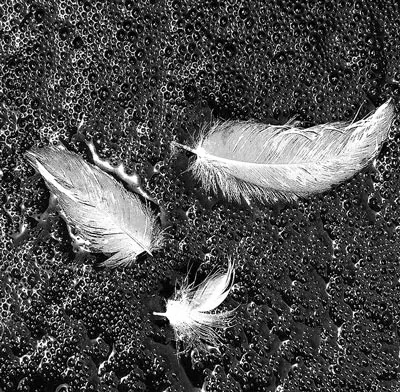 Còn đây là “Con nước chết” tác phẩm số 13.