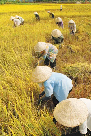 Dòng sông Mẹ sẽ ra sao ngày sau?. Bài 3: Hành động để dòng sông được chảy tự do