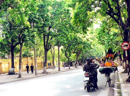 Giữ “vàng xanh” cho thủ đô