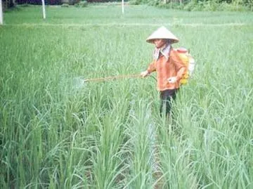 Đối phó với thiên tai, dịch bệnh do ảnh hưởng của Elnino