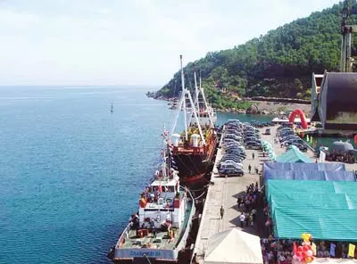 Những dự án mới