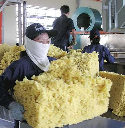 Tập đoàn Công nghiệp Cao su đẩy mạnh đầu tư ra nước ngoài