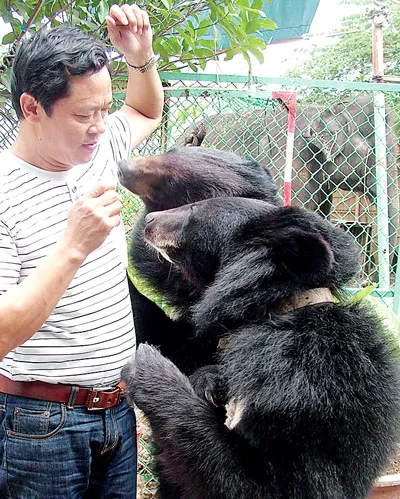 Sẽ có xiếc gà, xiếc heo…