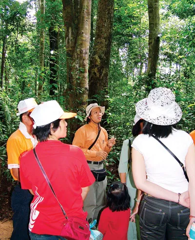 Du khách tìm hiểu về các loại cây ở rừng Phú Quốc.