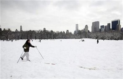 A woman goes cross-country skiing in Central Park a day after a heavy snow fall in New York February 27.