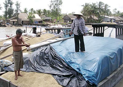 Local residents trade rice in the Mekong Delta. The VFA has said it will hold a press conference in the near future to announce plans to purchase rice for farmers.