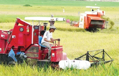 A farmer uses a machine to harvest rice on a paddy in the Mekong Delta region
