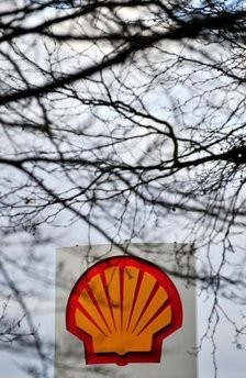 Royal Dutch Shell and PetroChina have joined forces for a 2.96 billion US dollar bid for Arrow Energy, hoping for a bigger slice of Australia's liquefied natural gas boom, the company said on Monday.