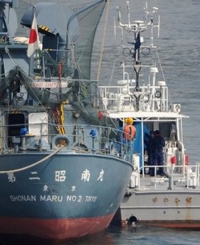 The Japan Coast Guard inspected a Japanese whaling ship on Saturday with a New Zealand anti-whaling activist who is under arrest for trespassing on the vessel in the Antarctic Ocean last month. AFP photo