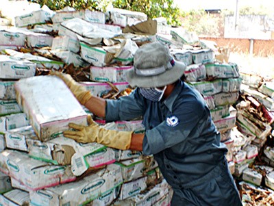 40 tons of rotten milk at refuse area of The Gioi Xanh Company. (Photo: SGGP)