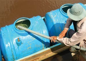 A resident in the Mekong Delta’s Ca Mau Province extracts underground water. The rampant exploitation of underground aquifers in the region has put the limited resource in great jeopardy. (Photo: SGGP)
