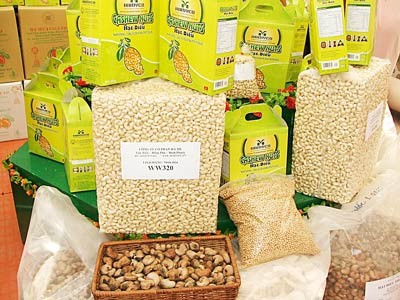 Vietnam processes and exports a variety of cashews to countries around the world, however, domestic cashew-growing areas have recently been on the decline. (Photo:SGGP)