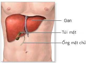 The Hanoi’s National Army Hospital 108 perform a modern surgical technique for patients suffering acute gall bladder inflammation