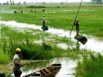 Up to 38 percent of land in the Mekong Delta could be inundated if seawater rises one meter, experts have said (Photo: VNA)