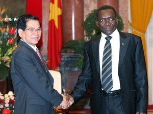 Vietnamese President Nguyen Minh Triet (L) meets with Tanzanian Prime Minister Mizengo Peter Pinda in Hanoi on March 30 (Photo: Vietnam News Agency)