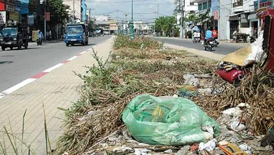 Đẹp mà... chưa đẹp