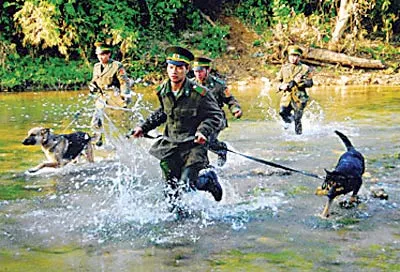 Canh giữ Tổ quốc bình yên