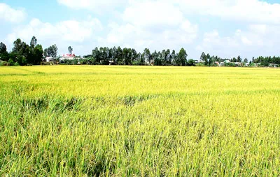 Cần xử lý nghiêm cán bộ biến chất