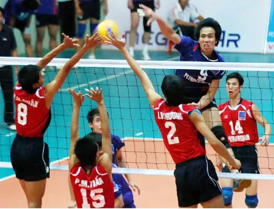 Giải bóng chuyền VĐQG năm 2010: Cọp thì không bao giờ là... mèo!