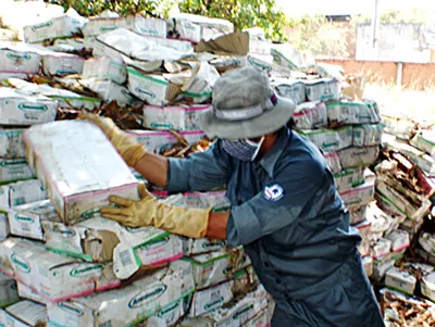 Bình Dương: 40 tấn sữa hư hỏng chậm tiêu hủy