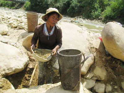 Đào cát ở các hốc đá giữa lòng sông để đãi vàng Nhiều chị em phụ nữ Pa Cô cũng tham gia đãi vàng
