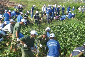 Rác trước sân nhà...
