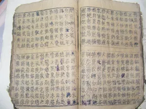 2 trong số nhiều trang nội dung còn nguyên vẹn.