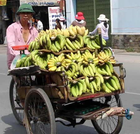 Bán chuối dạo (chụp trên đường Lê Quang Định, Bình Thạnh).