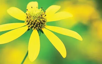 Tâm sự với tình yêu