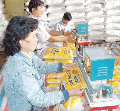 Sau 3 năm gia nhập WTO: Nhiều cơ hội, lắm thách thức