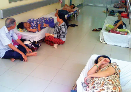 TPHCM: Nguy cơ bùng phát dịch tả