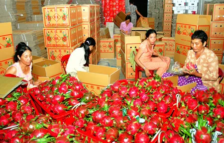 Phát triển thương hiệu “rồng xanh”