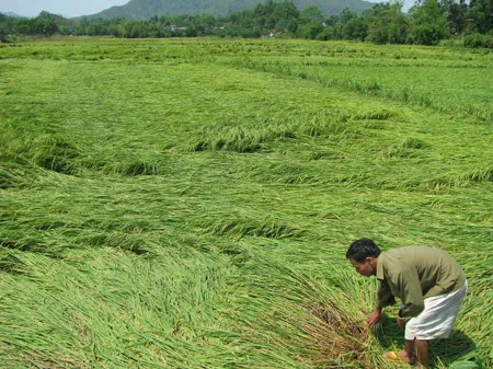 Huyện Nông Sơn, Quảng Nam: Lốc xoáy quét qua, ngàn nhà khổ sở