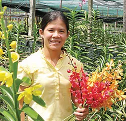 Từ phong trào thi đua nông dân sản xuất giỏi: Làm giàu từ nghề nông ảnh 3