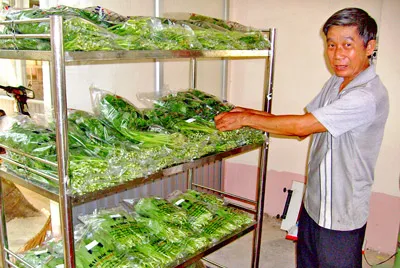 Cần nhiều rau sạch