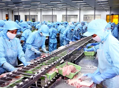 Xuất khẩu thủy sản: Tăng trưởng nhưng vẫn lo