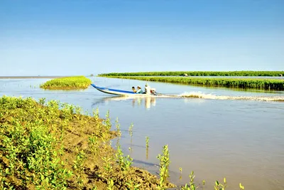 Đón nhận bằng “Dự trữ sinh quyển thế giới Mũi Cà Mau”