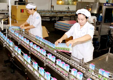 Sản xuất sữa cung cấp ra thị trường với giá cả ổn định tại Công ty Vinamilk. Ảnh: CAO THĂNG