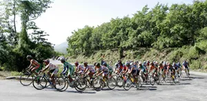 Đằng sau một cuộc đua