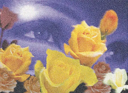 Bông hồng vàng chờ đợi