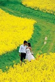 Hạnh phúc giản đơn