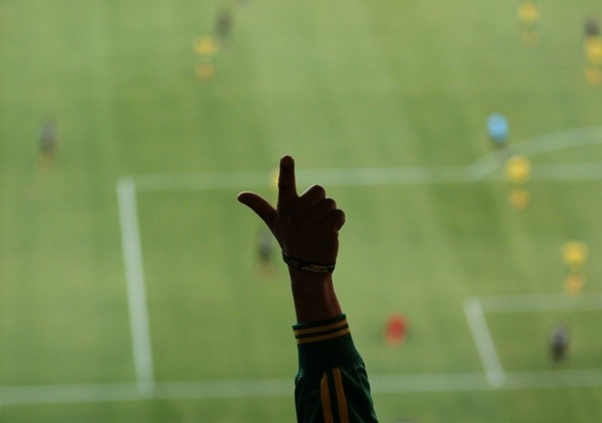 A fan cheers during the Group A first round 2010 World Cup football match South Africa and Mexico on June 11, 2010. AFP photo