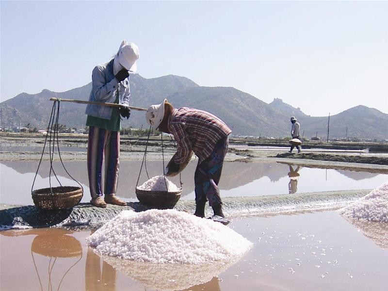 Farmers harvest salt in the Mekong province of Bac Lieu Province (File photo)